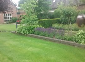 IMG_20150609_103039336