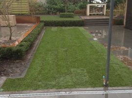 SchutteHoveniers_Tuin-Oegema_14